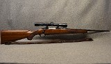 Ruger ~ M77 ~ .243 Winchester - 1 of 11