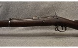 U.S. Springfield ~ U.S. Model 1884 ~ .45-70 Government - 7 of 10