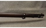 U.S. Springfield ~ U.S. Model 1884 ~ .45-70 Government - 5 of 10