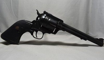 Ruger ~ New Model Blackhawk ~ .45 Caliber