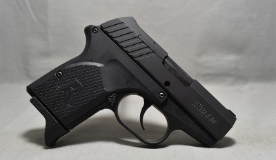 Remington ~ RM380 ~ .380 Auto