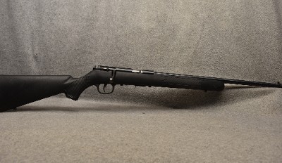 Savage Arms ~ Mark II ~ .22 Long Rifle