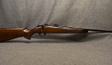 Browning ~ A-Bolt ~ .22 Long Rifle