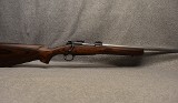 Winchester ~ Model 70 SA ~ .243 Winchester
