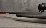 Winchester ~ Wildcat ~ .22 Long Rifle - 7 of 7