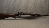 Winchester ~ Model 9422 ~ .22 Long and Long Rifle