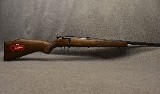 Savage Arms ~ Model 93 ~ .22 Magnum