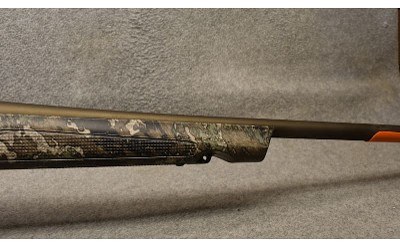 Franchi ~ Momentum ~ .30-06 Springfield - Image 4 of 10