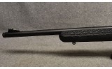 Ruger ~ American ~ .22 Long Rifle - 7 of 10