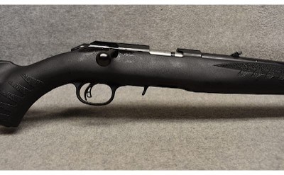 Ruger ~ American ~ .22 Long Rifle - Image 3 of 10