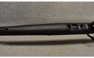 Ruger ~ American ~ .22 Long Rifle - Image 8 of 10