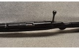 Ruger ~ American ~ .22 Long Rifle - 9 of 10