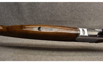 Lanber-Ibargun ~ 12 Gauge - Image 8 of 10