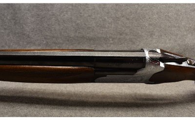 Lanber-Ibargun ~ 12 Gauge - Image 10 of 10