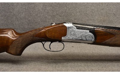 Lanber-Ibargun ~ 12 Gauge - Image 3 of 10