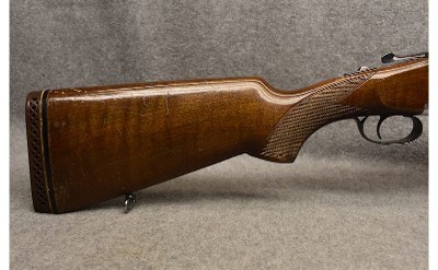 Lanber-Ibargun ~ 12 Gauge - Image 2 of 10