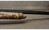 Tristar ~ Raptor 12 ~ Gauge - 4 of 9