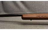 Marlin ~ Model 917M2 ~ .17 Mach 2 - 7 of 9