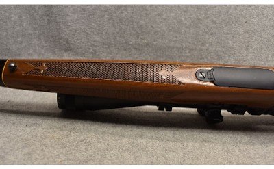 Remington ~ Model 700 ~ .22-250 Remington - Image 8 of 9