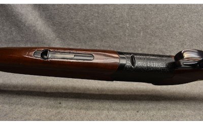 Franchi-Brescia ~ 20 Gauge - Image 8 of 9