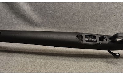 Ruger ~ American ~ .22 Magnum - Image 8 of 9