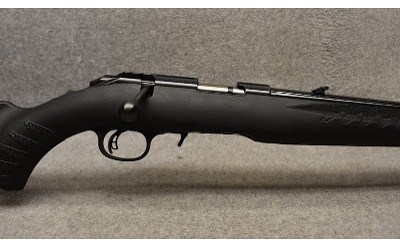 Ruger ~ American ~ .22 Magnum - Image 3 of 9