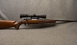 Browning ~ A Bolt ~ .22 Hornet - 1 of 9
