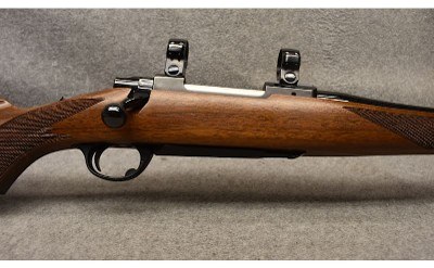 Ruger ~ M77 ~ .250 Savage - Image 3 of 9