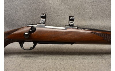Ruger ~ M77 ~ .22-250 Remington - Image 3 of 9