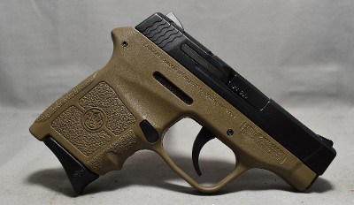Smith & Wesson ~ Bodyguard ~ .380 Auto
