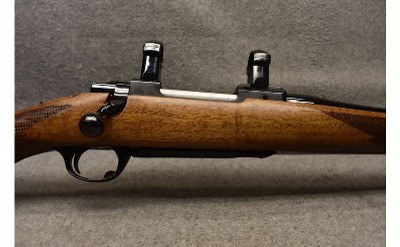 Ruger ~ M77 ~ .243 Winchester - Image 3 of 9