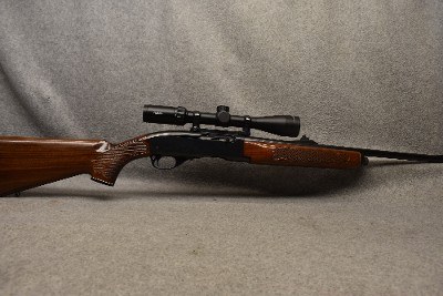 Remington ~ 742 ~ .243 Winchester