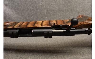 Mossberg ~ MVP ~ .300 AAC Blackout - Image 9 of 9