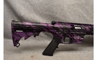 Smith & Wesson ~ M&P15-22 ~ .22 Long Rifle - Image 2 of 7