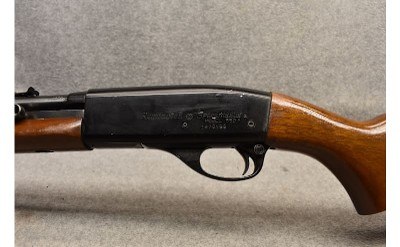 Remington ~ 552 ~ .22 Short, Long, Long Rifle - Image 5 of 8