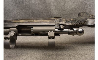 Ruger ~ 77/17 ~ .17 HMR - Image 9 of 9