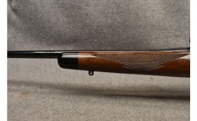 Ruger ~ M77 ~ .243 Winchester - Image 7 of 9