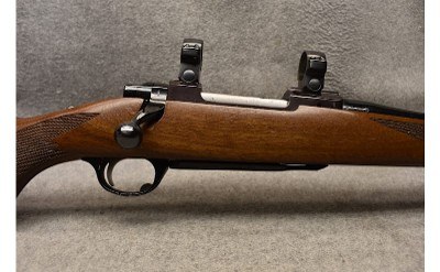 Ruger ~ M77 ~ .243 Winchester - Image 3 of 9