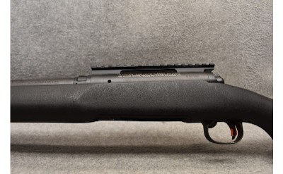 Savage ~ 12 ~ .243 Winchester - Image 6 of 9