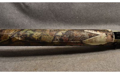 Browning ~ 10 Gauge - Image 8 of 9