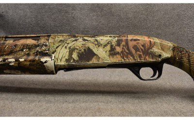 Browning ~ 10 Gauge - Image 6 of 9