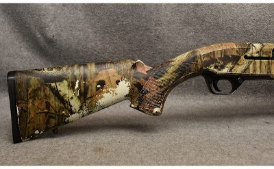 Browning ~ 10 Gauge - Image 2 of 9