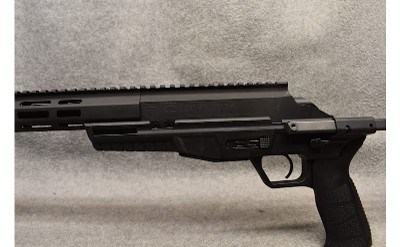 CZ ~ 600 Plus TA1 ~ .300 AAC Blackout - Image 6 of 7