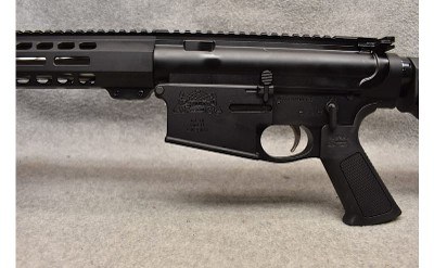 Palmetto State Armory ~ G3-10 ~ .308 Winchester - Image 6 of 7