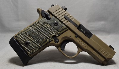 Sig Sauer ~ P938 ~ 9mm Parabellum - Image 1 of 3