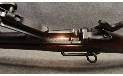 Springfield ~ U.S. Model 1873 ~ .45-70 Government - Image 10 of 10