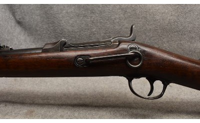 Springfield ~ U.S. Model 1873 ~ .45-70 Government - Image 6 of 10