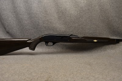 REMINGTON ~ NYLON 66 ~ .22 LONG RIFLE - Image 1 of 9
