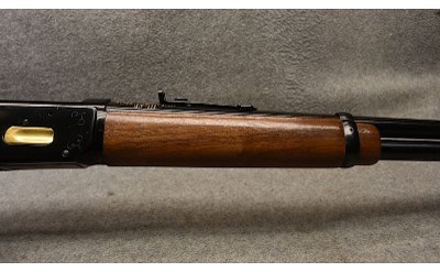 Winchester ~ Model 94 Illinois Sesquicentennial 1818-1968 ~ .30-30 Winchester - Image 4 of 9