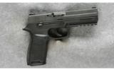 Sig Sauer P250 Pistol .40 - 1 of 2